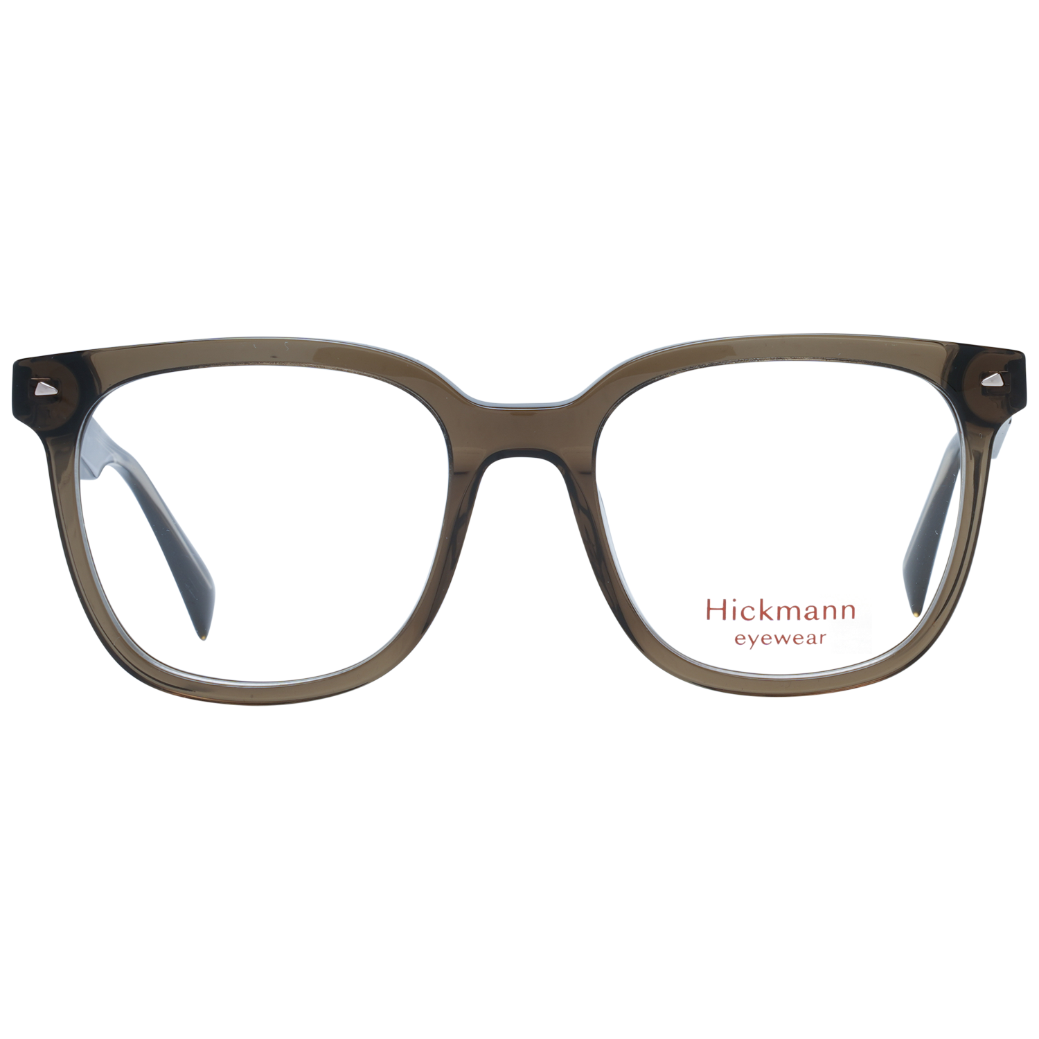 Ana Hickmann Optical Frame HI6253 T02 51