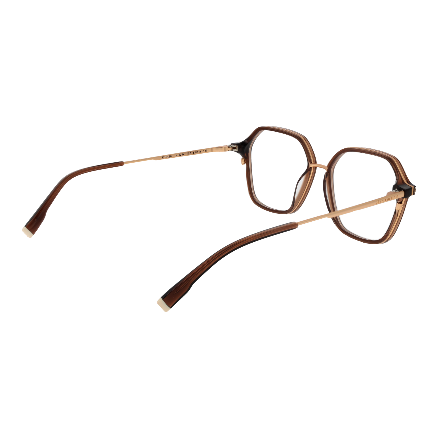 Ana Hickmann Optical Frame HI6254 T02 52