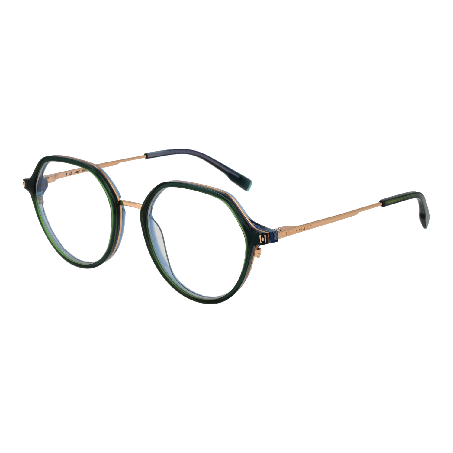 Ana Hickmann Optical Frame HI6255 T01 52