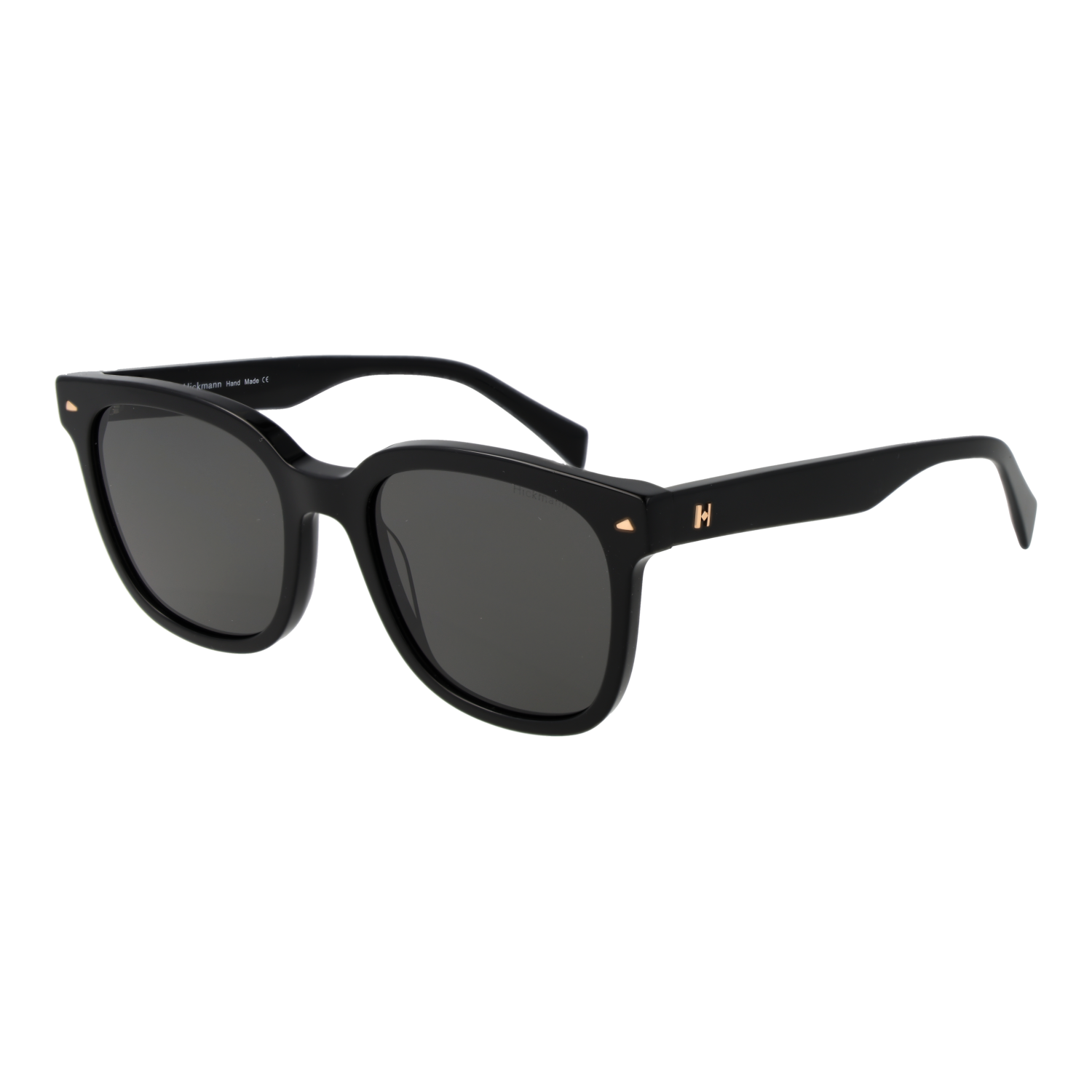 Ana Hickmann Sunglasses HI9169 A01 52