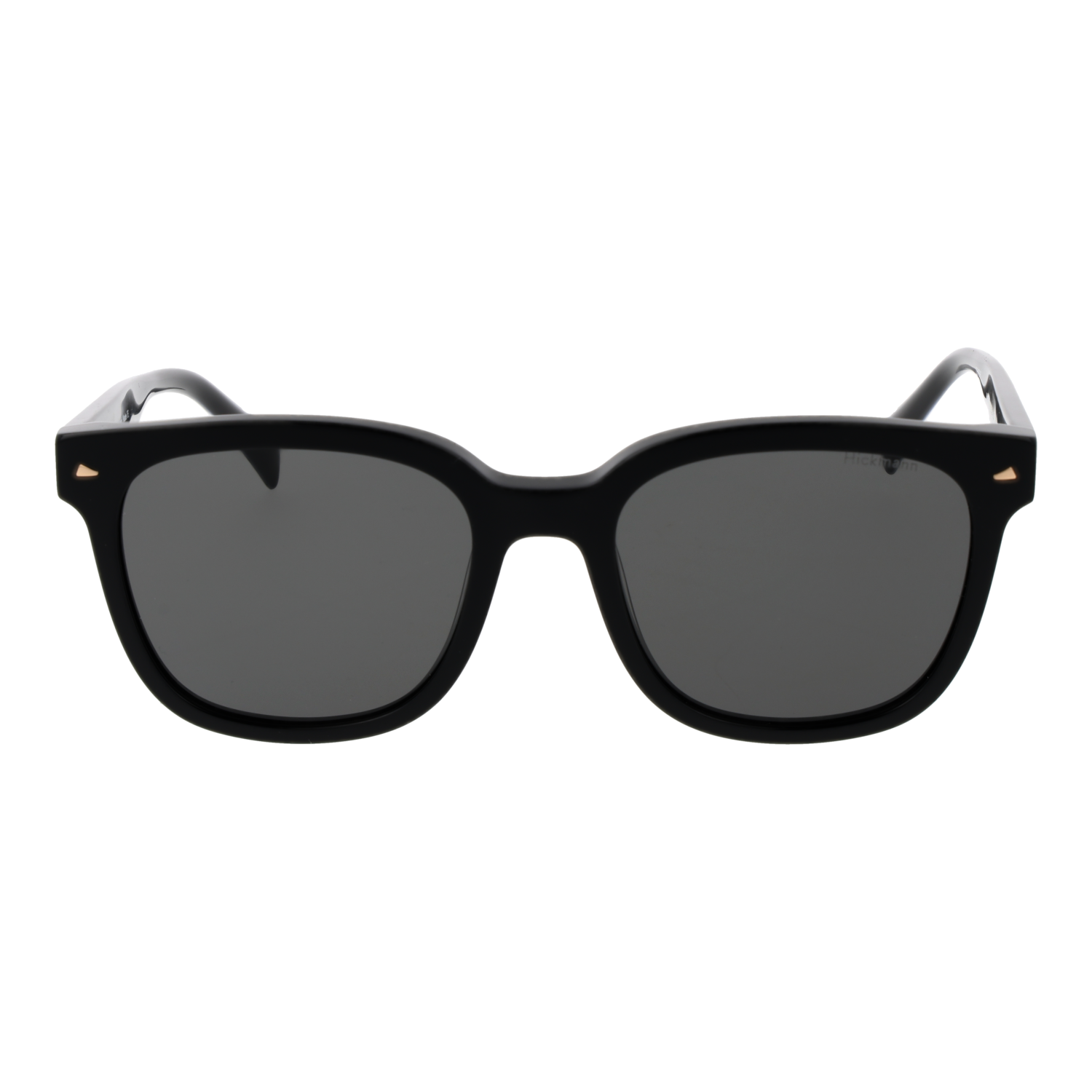 Ana Hickmann Sunglasses HI9169 A01 52