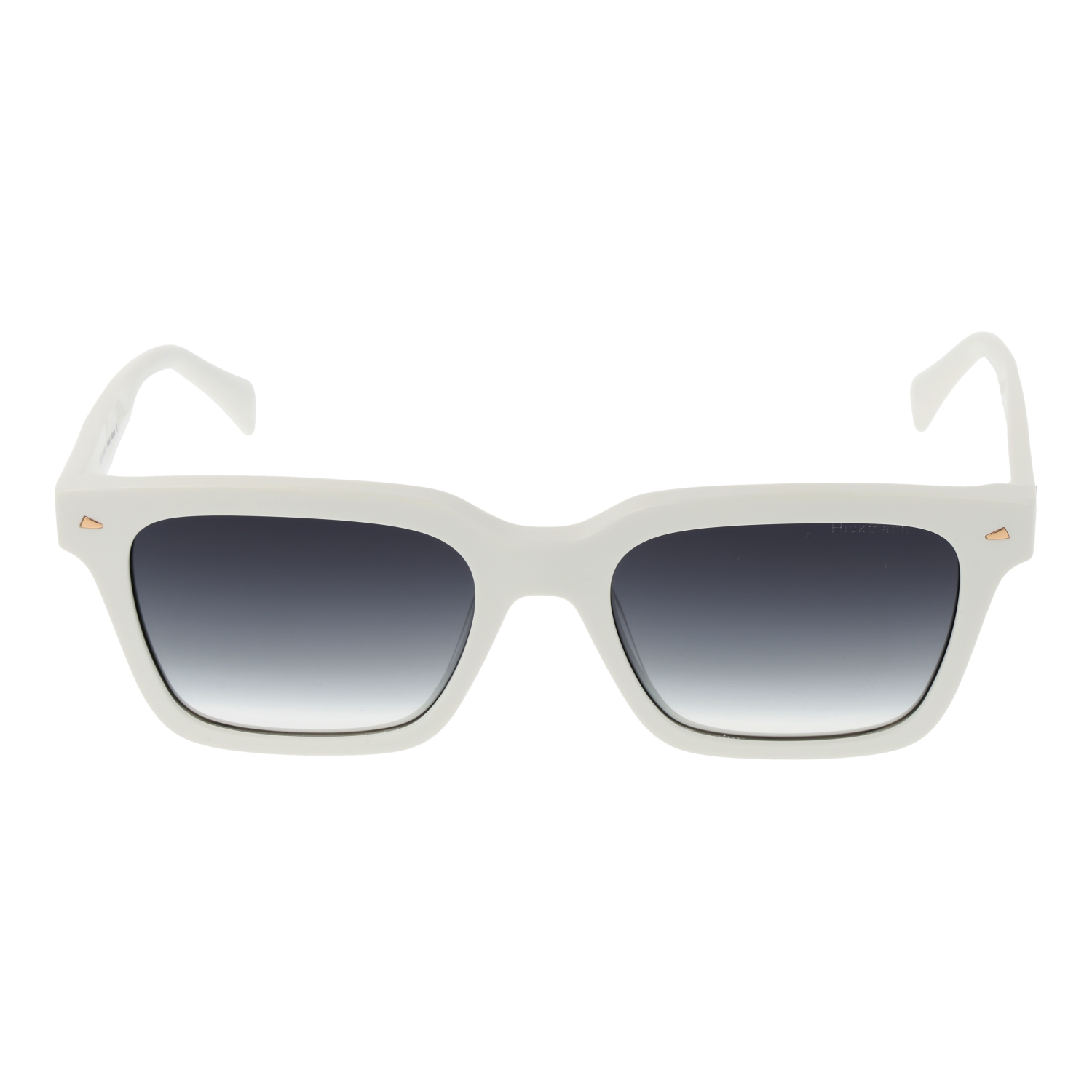 Ana Hickmann Sunglasses HI9172 D01 52