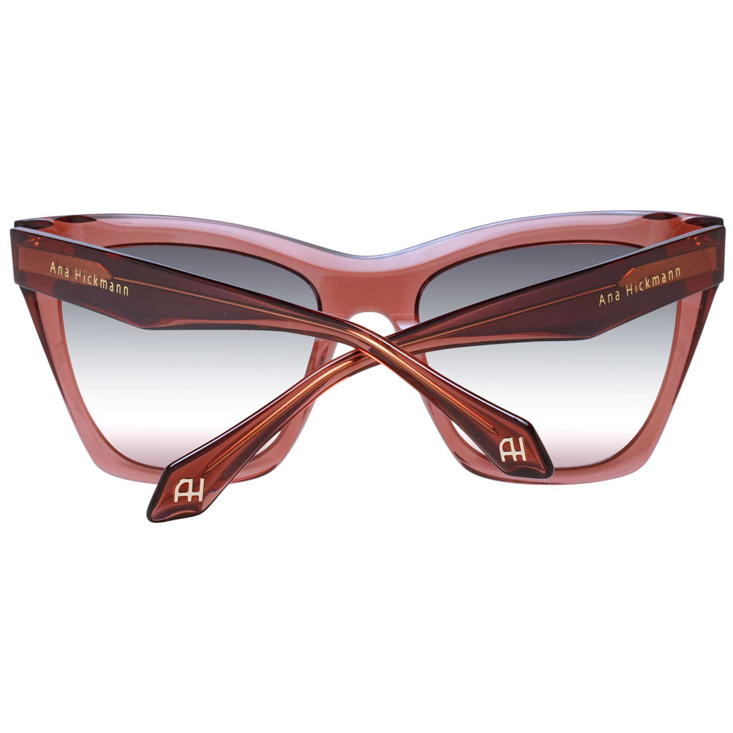 Ana Hickmann Sunglasses AH9366 T02 54