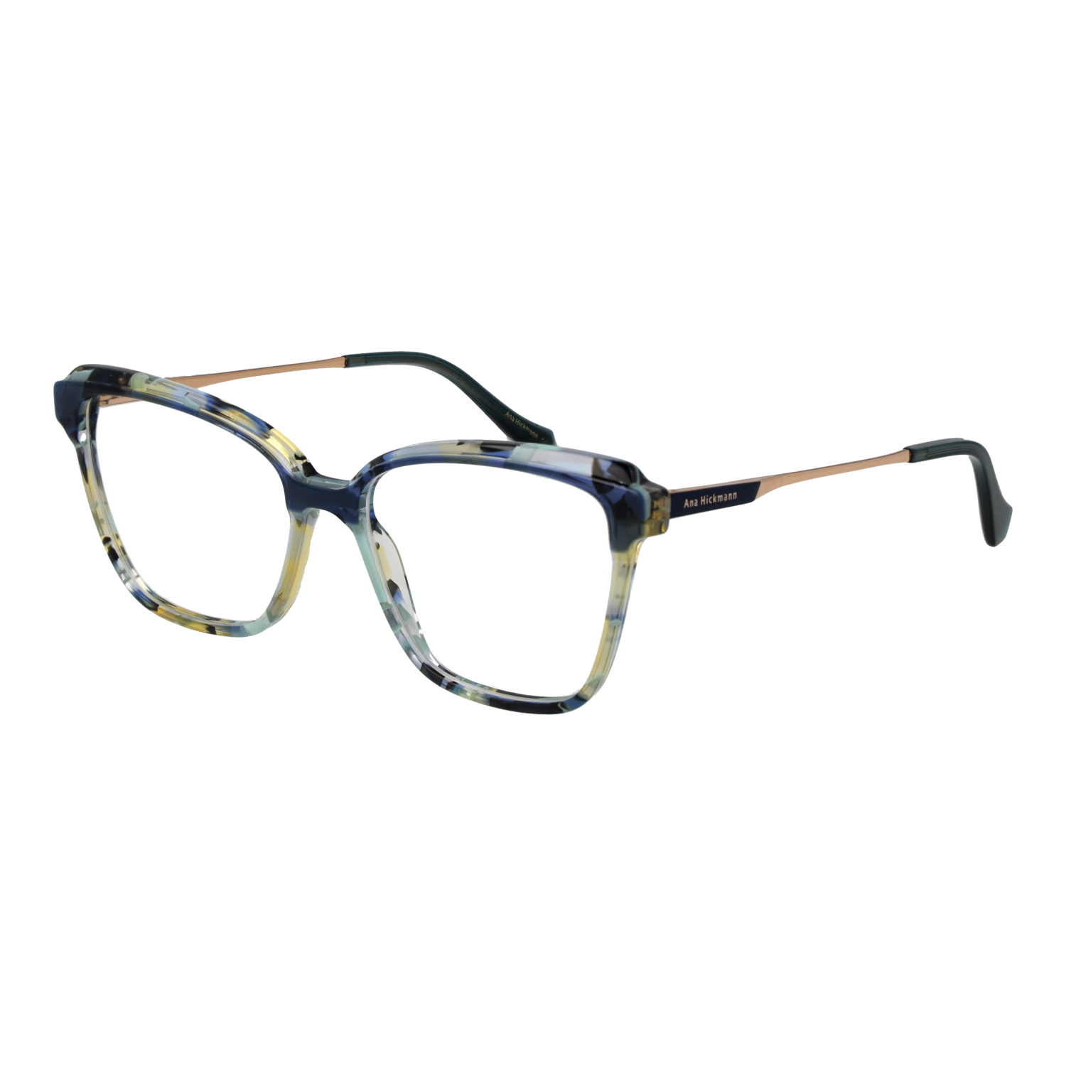 Ana Hickmann Optical Frame AH6505 G23 53