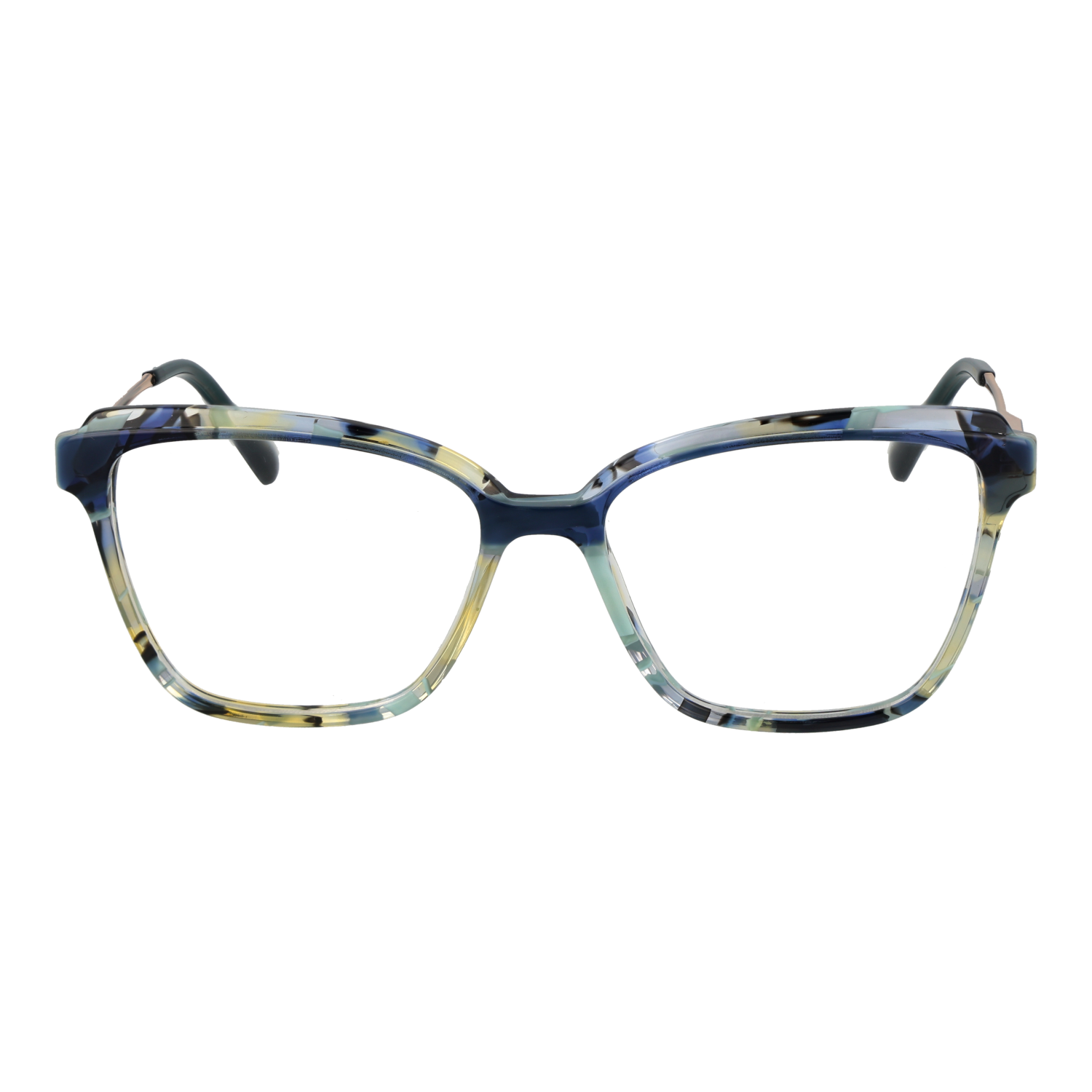 Ana Hickmann Optical Frame AH6505 G23 53