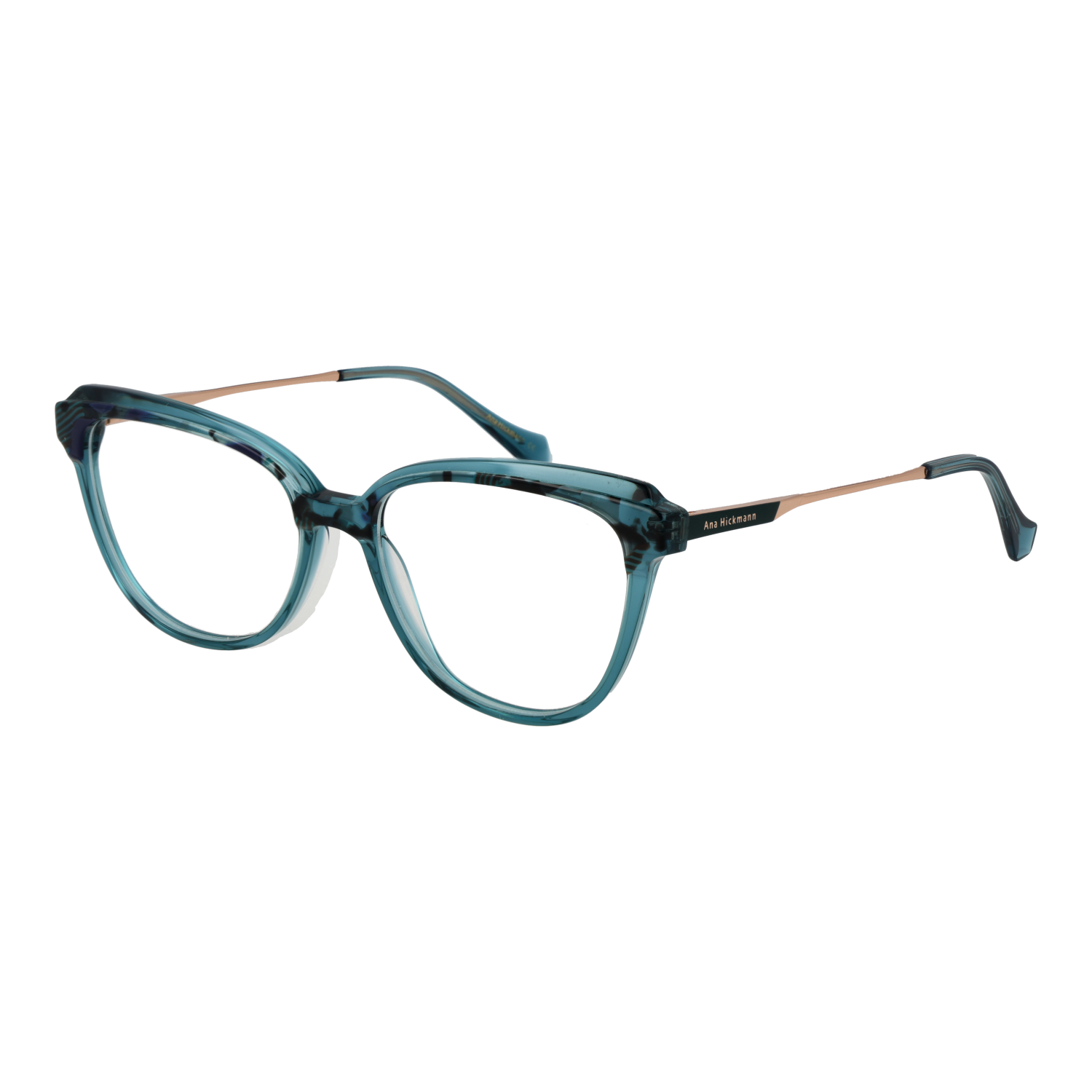 Ana Hickmann Optical Frame AH6506 G21 54