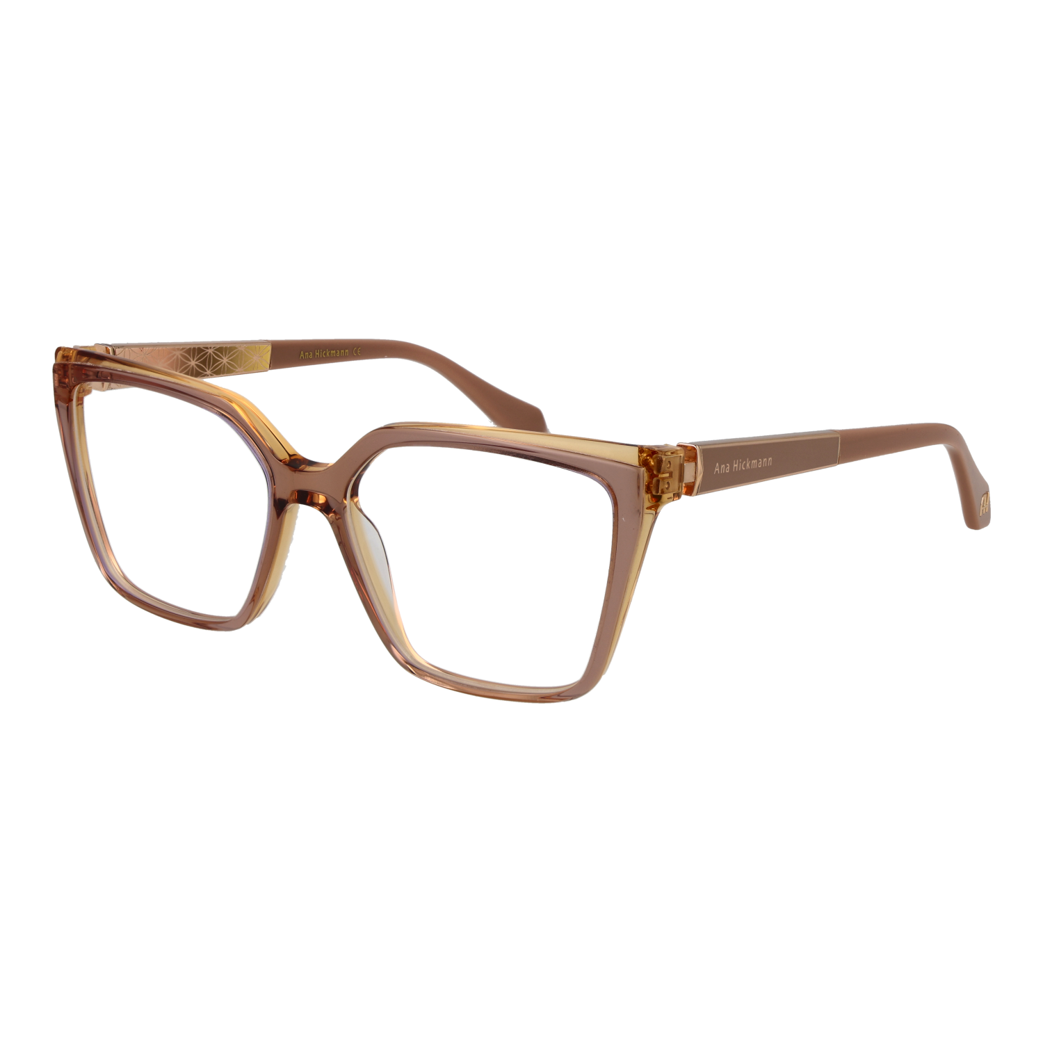 Ana Hickmann Optical Frame AH6508 H01 53