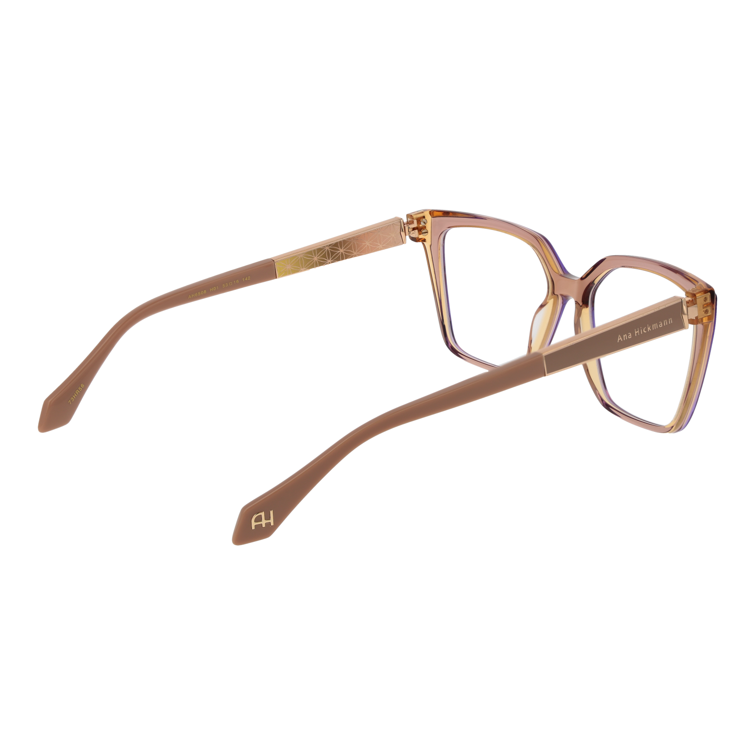 Ana Hickmann Optical Frame AH6508 H01 53