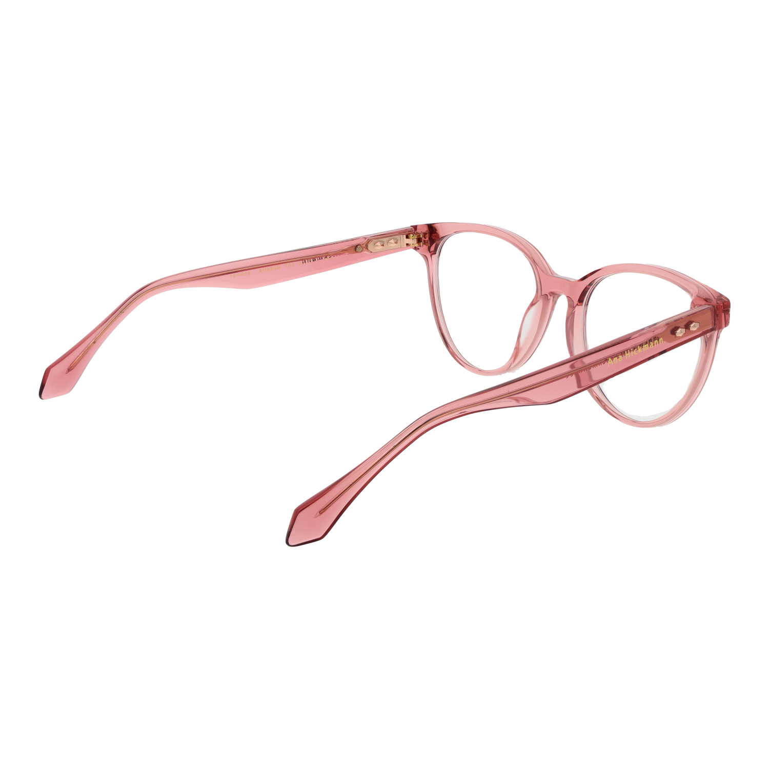 Ana Hickmann Optical Frame AH6509 T02 53