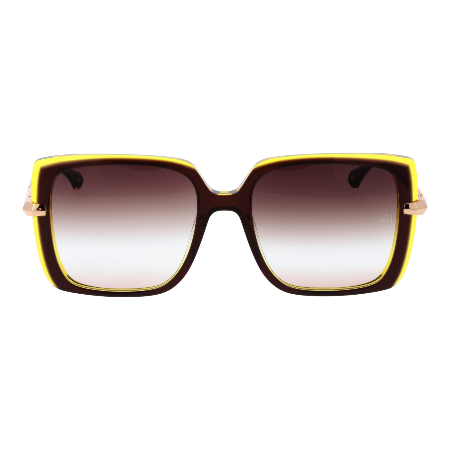 Ana Hickmann Sunglasses AH9362 H01 54