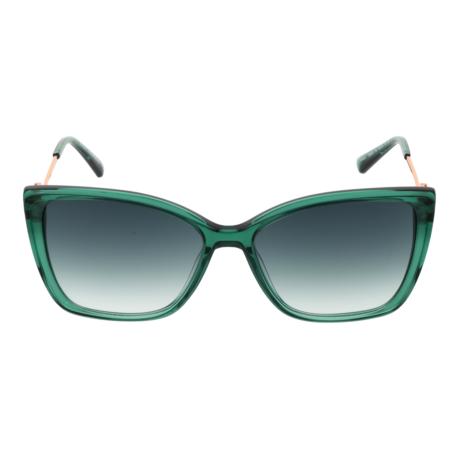 Lunettes de soleil Bulget BG9220 T01 56