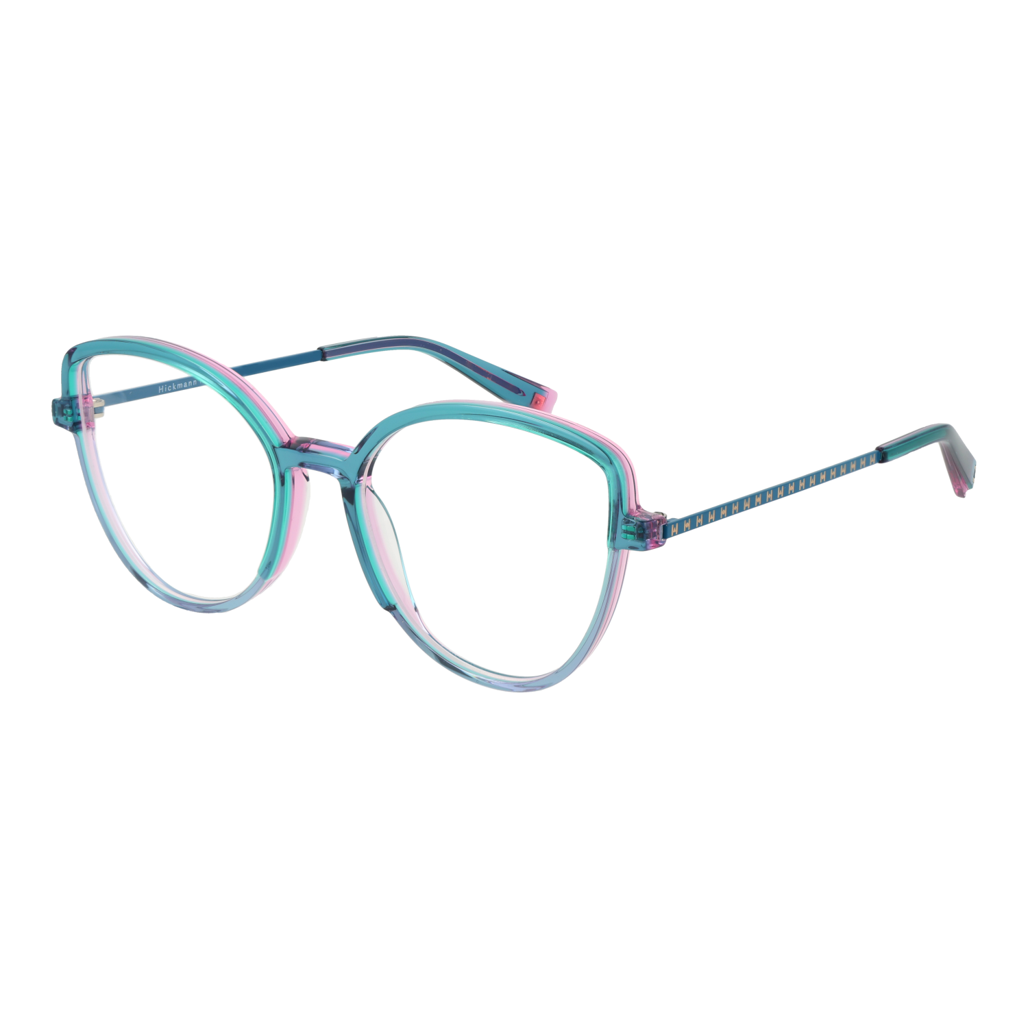 Ana Hickmann monture optique HI6265 H01 54