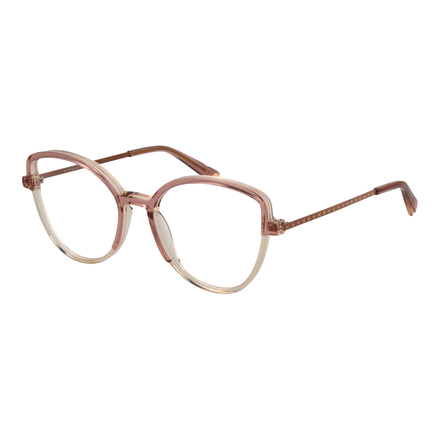 Ana Hickmann Optical Frame HI6265 H02 54