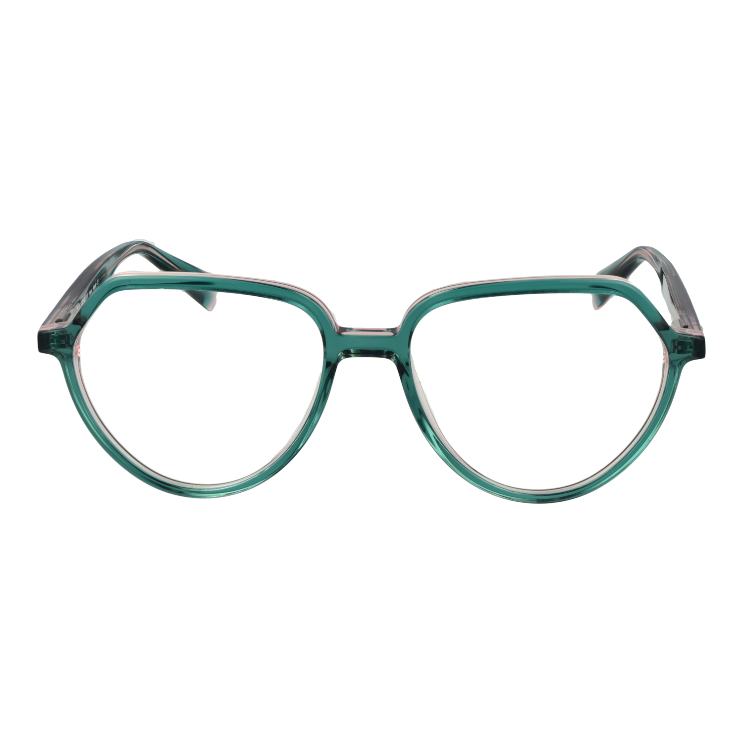 Ana Hickmann Optical Frame HI6277 H01 53