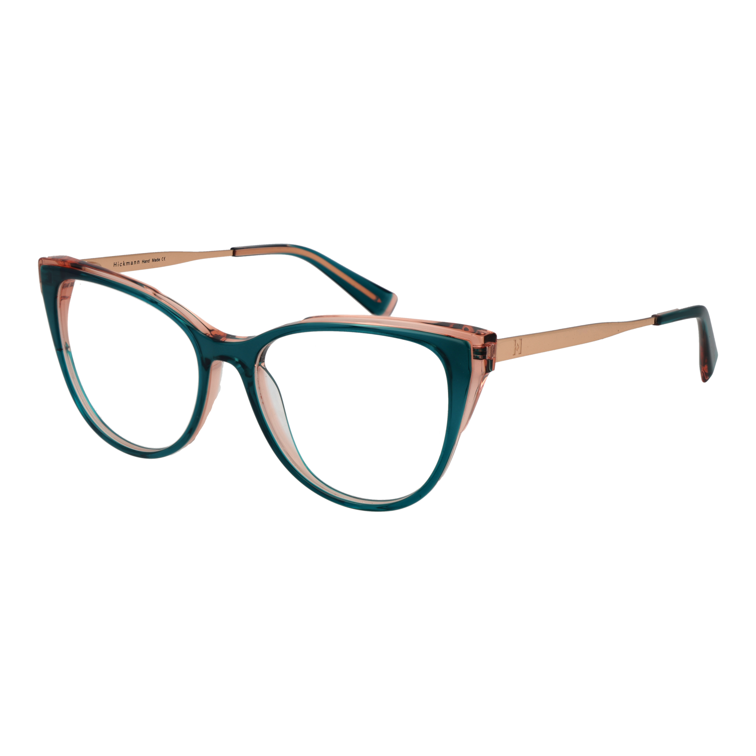 Ana Hickmann Optical Frame HI6279 H02 53