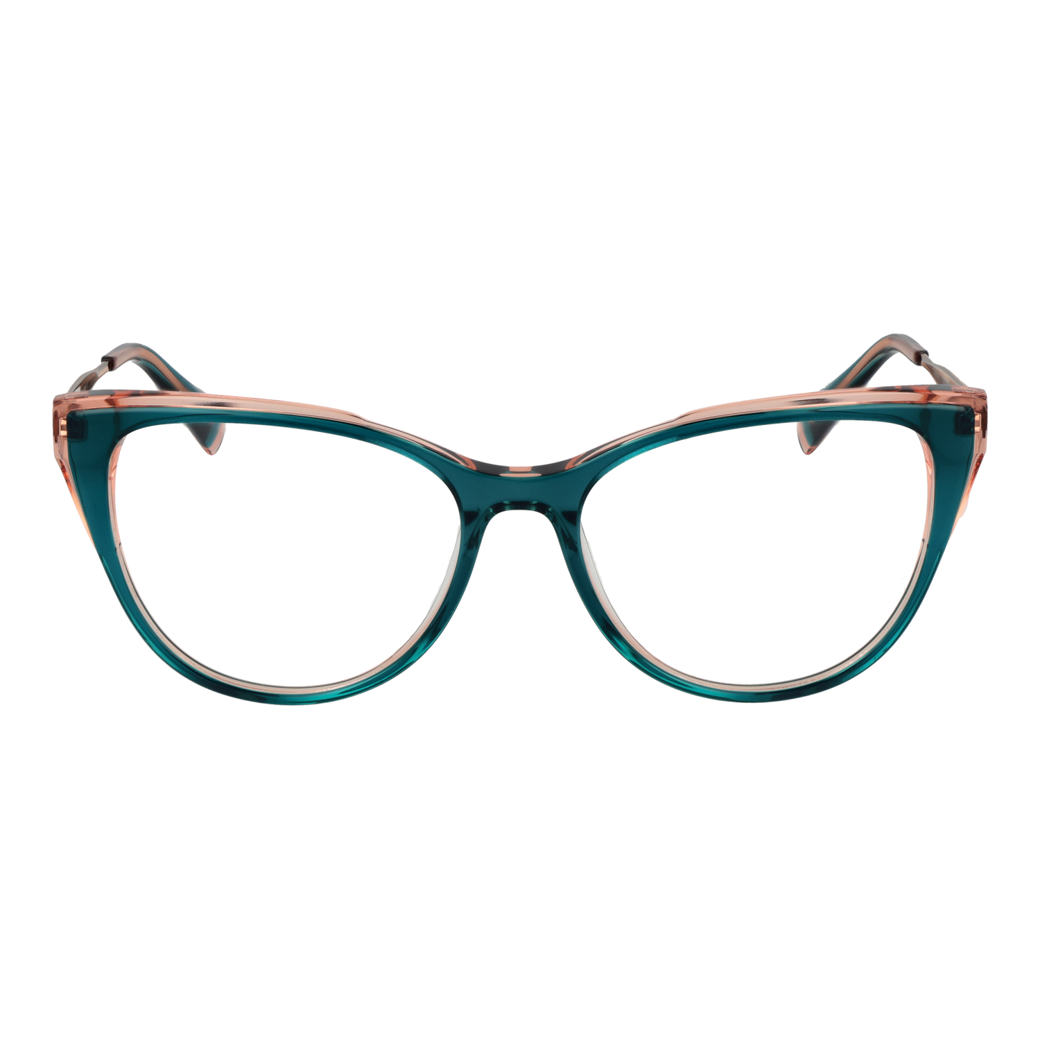Ana Hickmann Optical Frame HI6279 H02 53