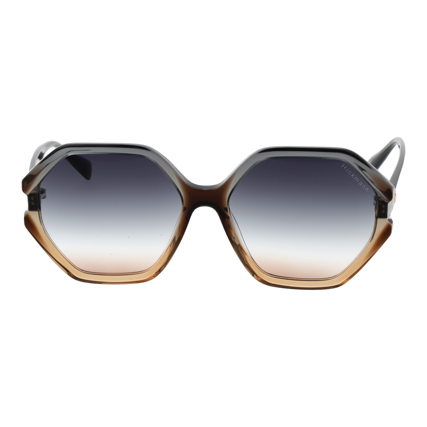 Ana Hickmann Sunglasses HI9186 C01 55