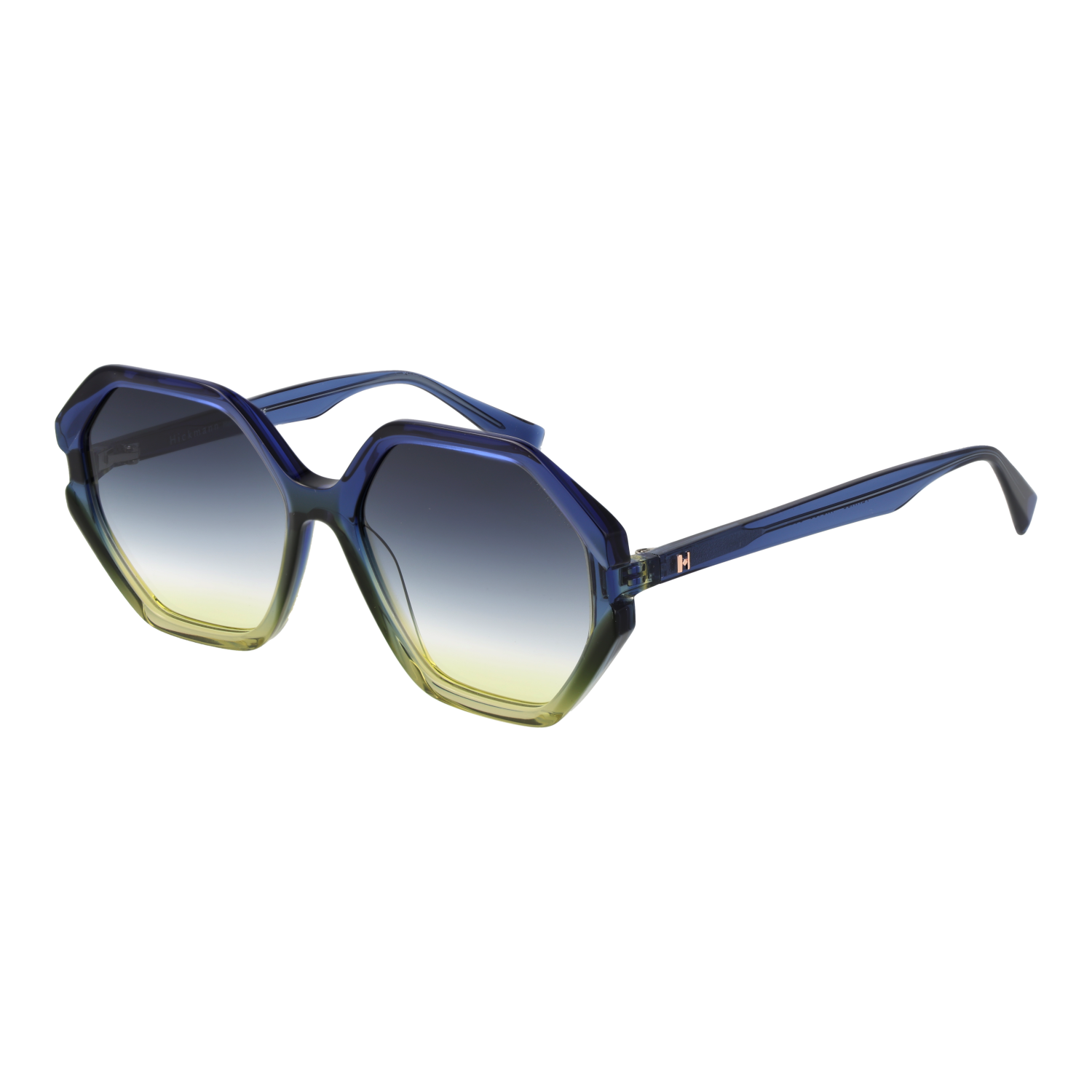 Ana Hickmann Sunglasses HI9186 C02 55