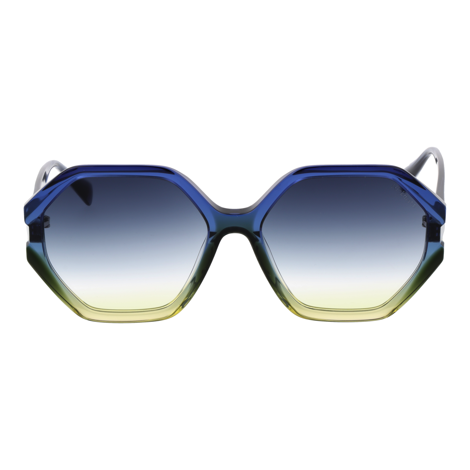 Ana Hickmann Sunglasses HI9186 C02 55