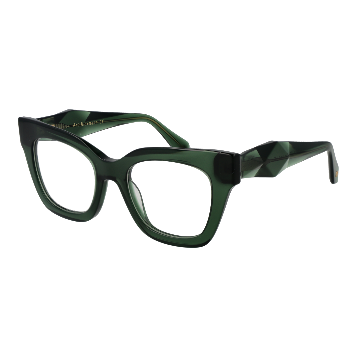 Ana Hickmann Optical Frame AH6523 T01 50