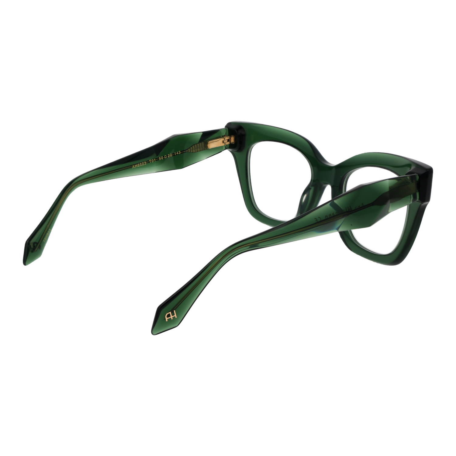 Ana Hickmann Optical Frame AH6523 T01 50