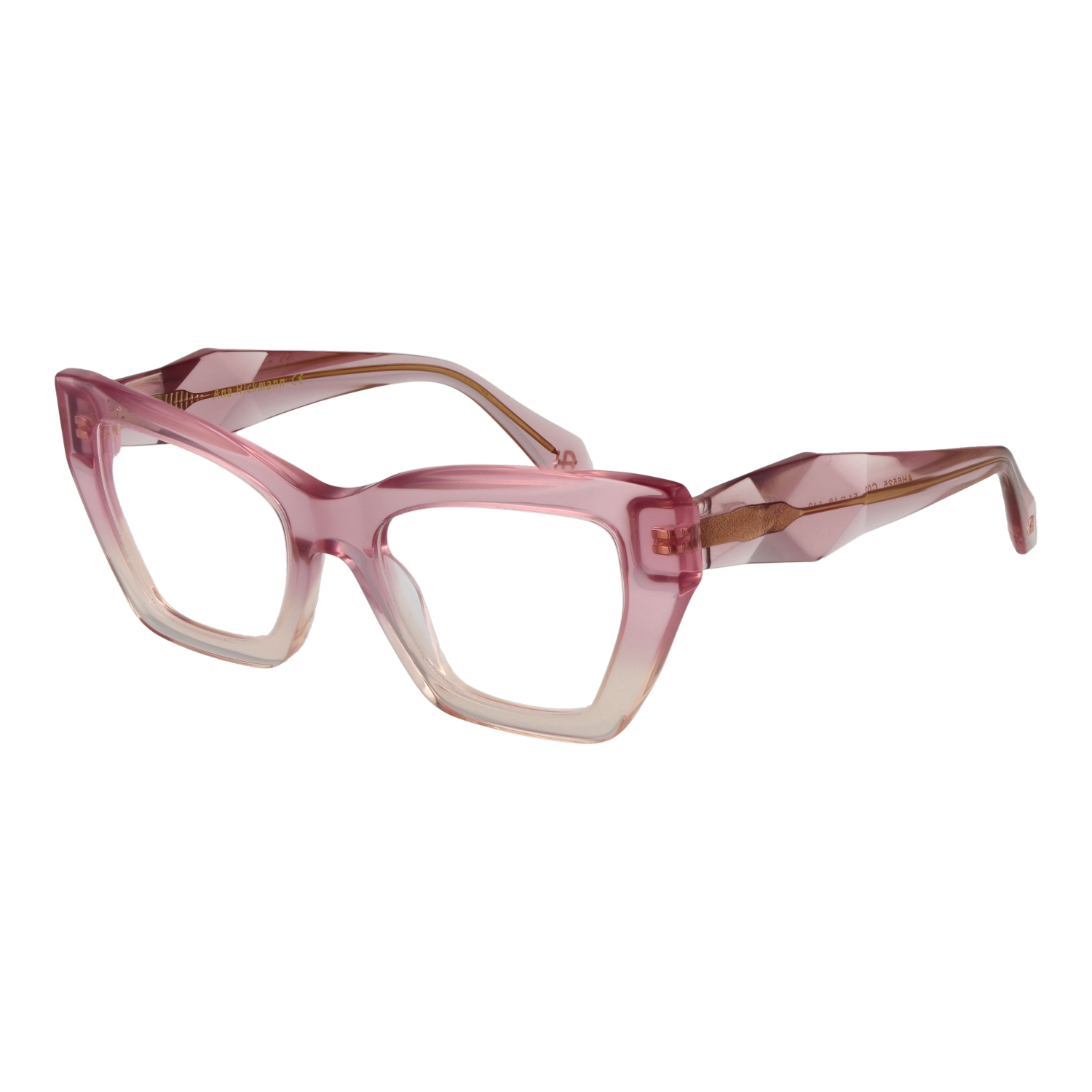 Ana Hickmann Optical Frame AH6525 C02 51