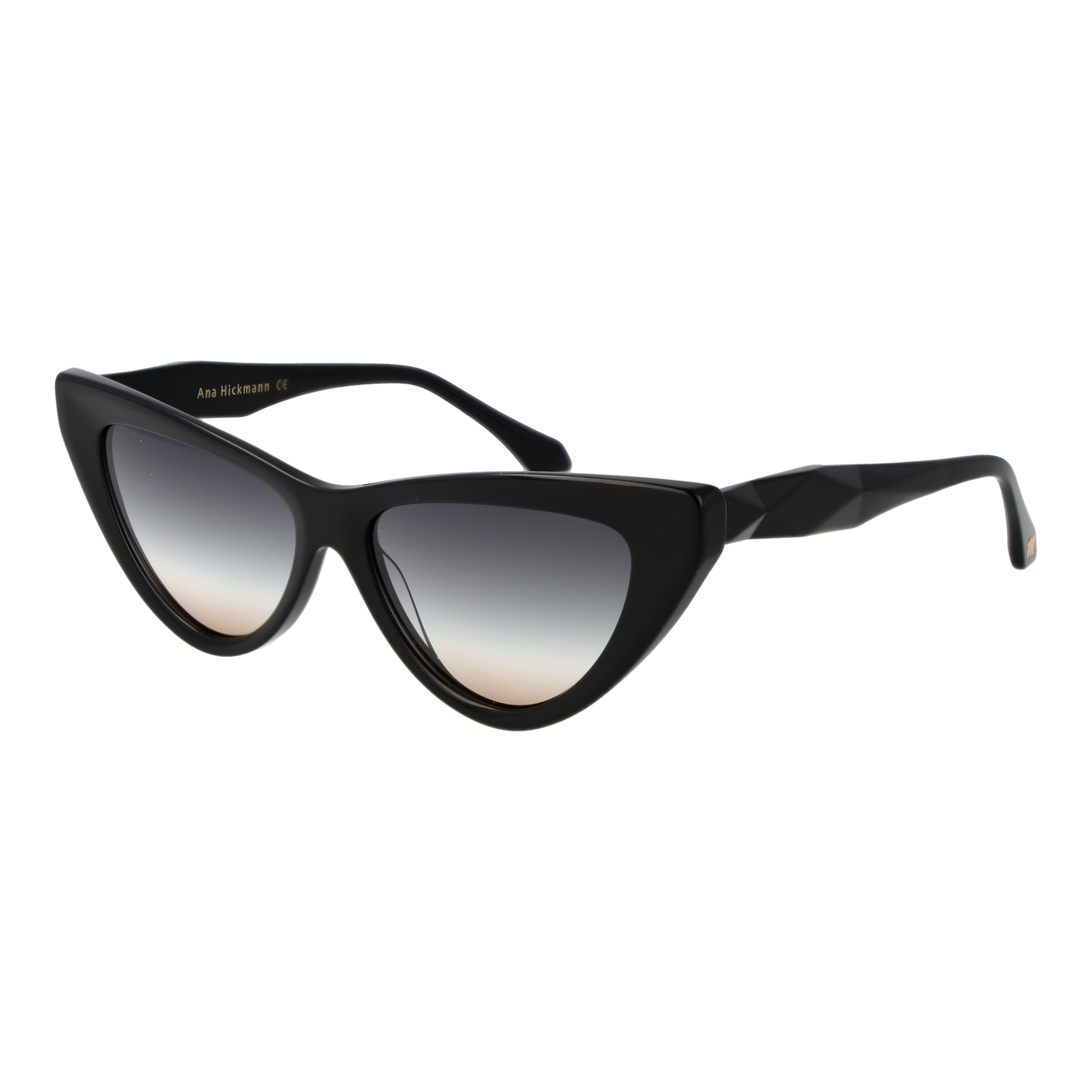 Ana Hickmann Sunglasses AH9391 A01 56
