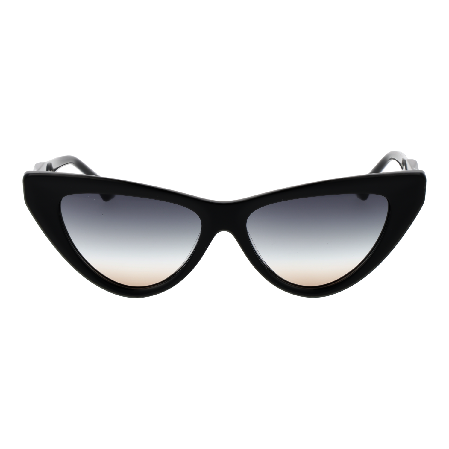 Ana Hickmann Sunglasses AH9391 A01 56