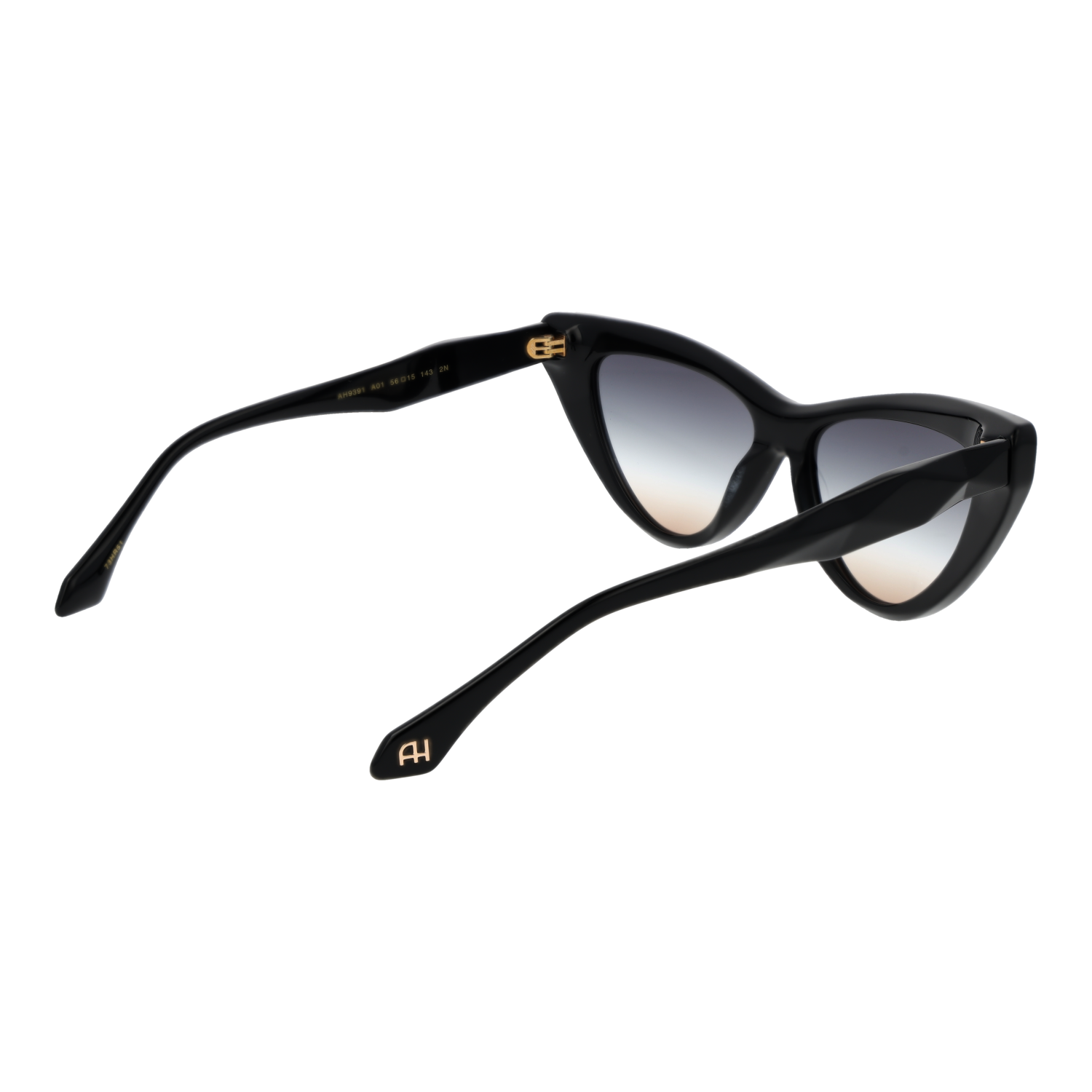 Ana Hickmann Sunglasses AH9391 A01 56