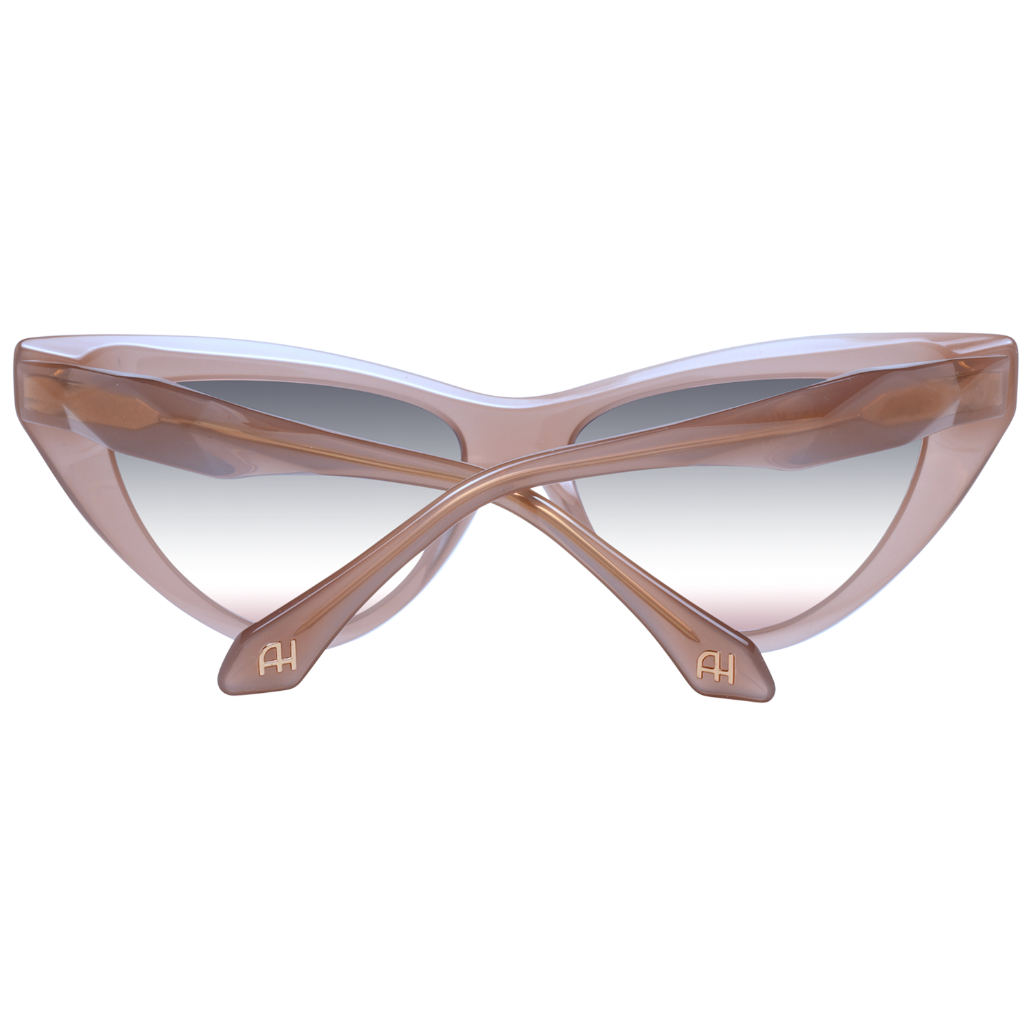 Ana Hickmann Sunglasses AH9391 T02 56