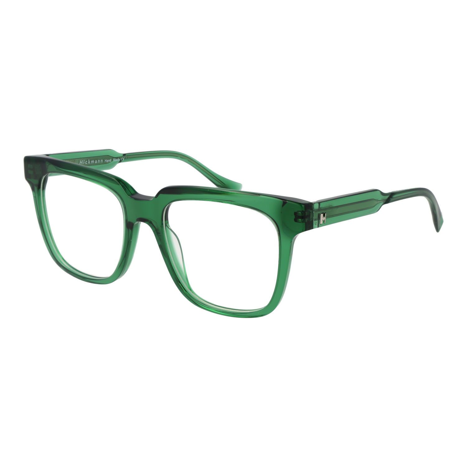 Ana Hickmann monture optique HI6286 T01 54