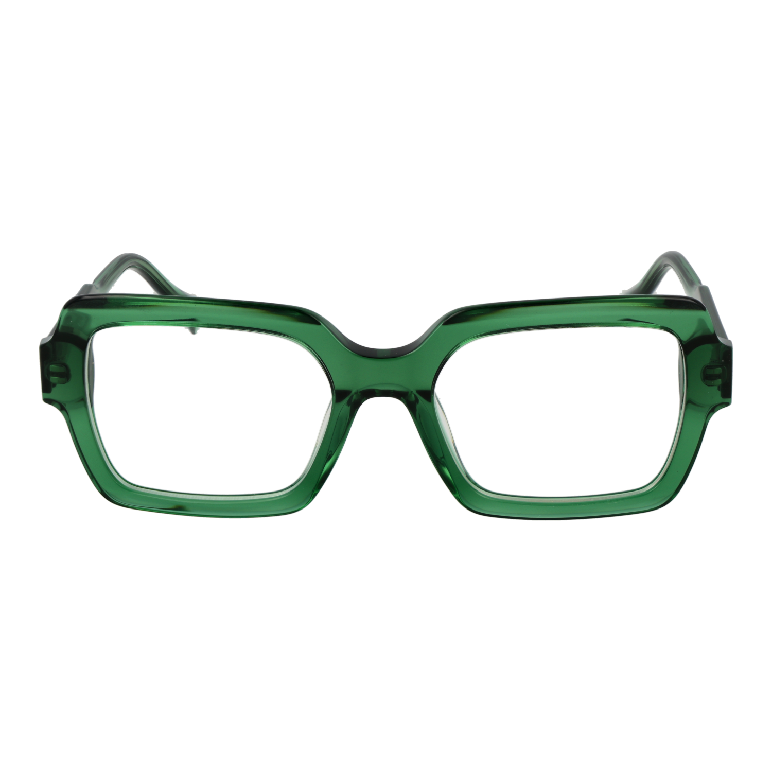 Ana Hickmann Optical Frame HI6288 T02 51