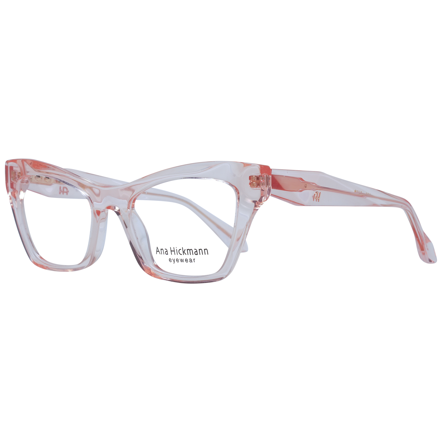 Ana Hickmann Optical Frame AH6529 H02 51