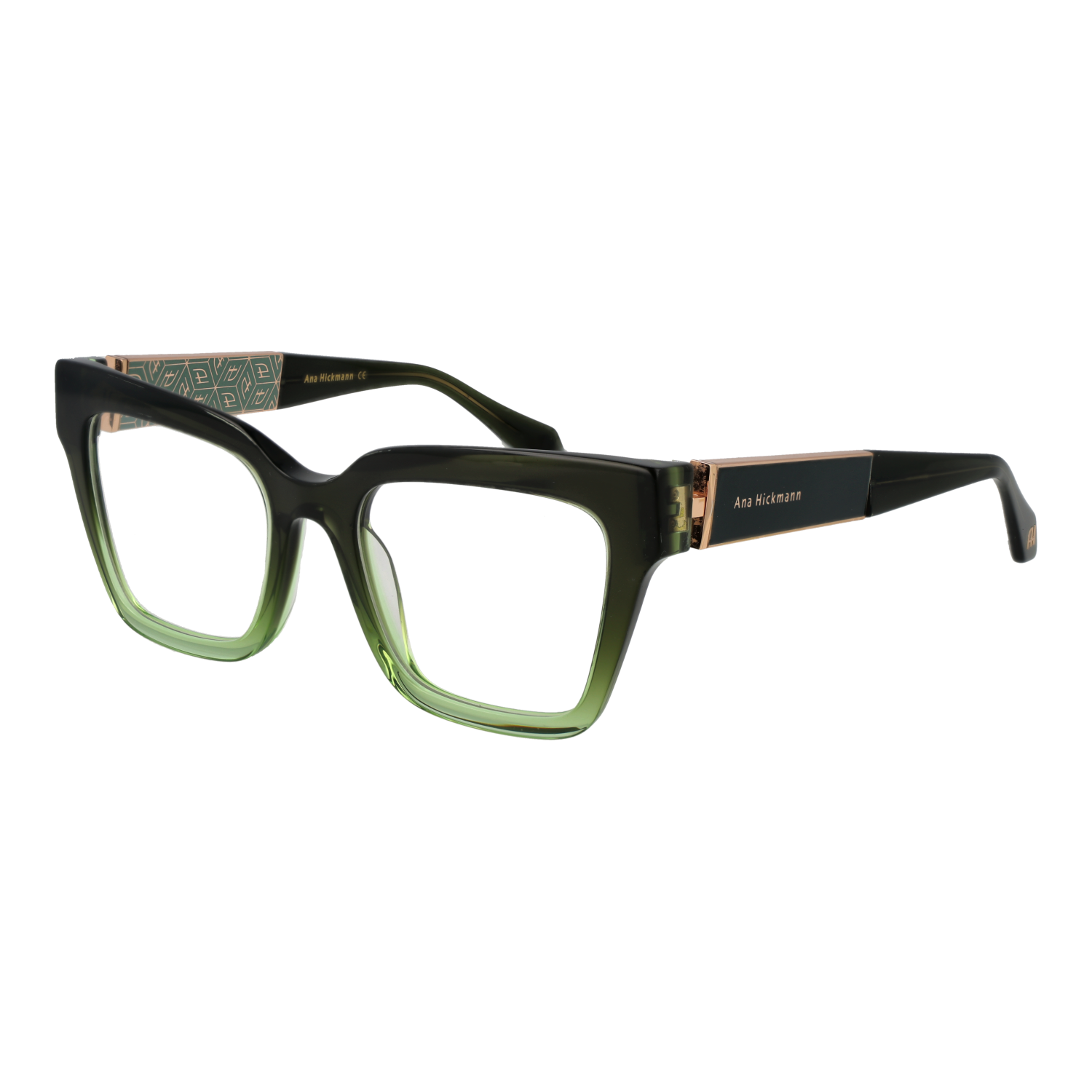 Ana Hickmann Optical Frame AH6533 C01 51