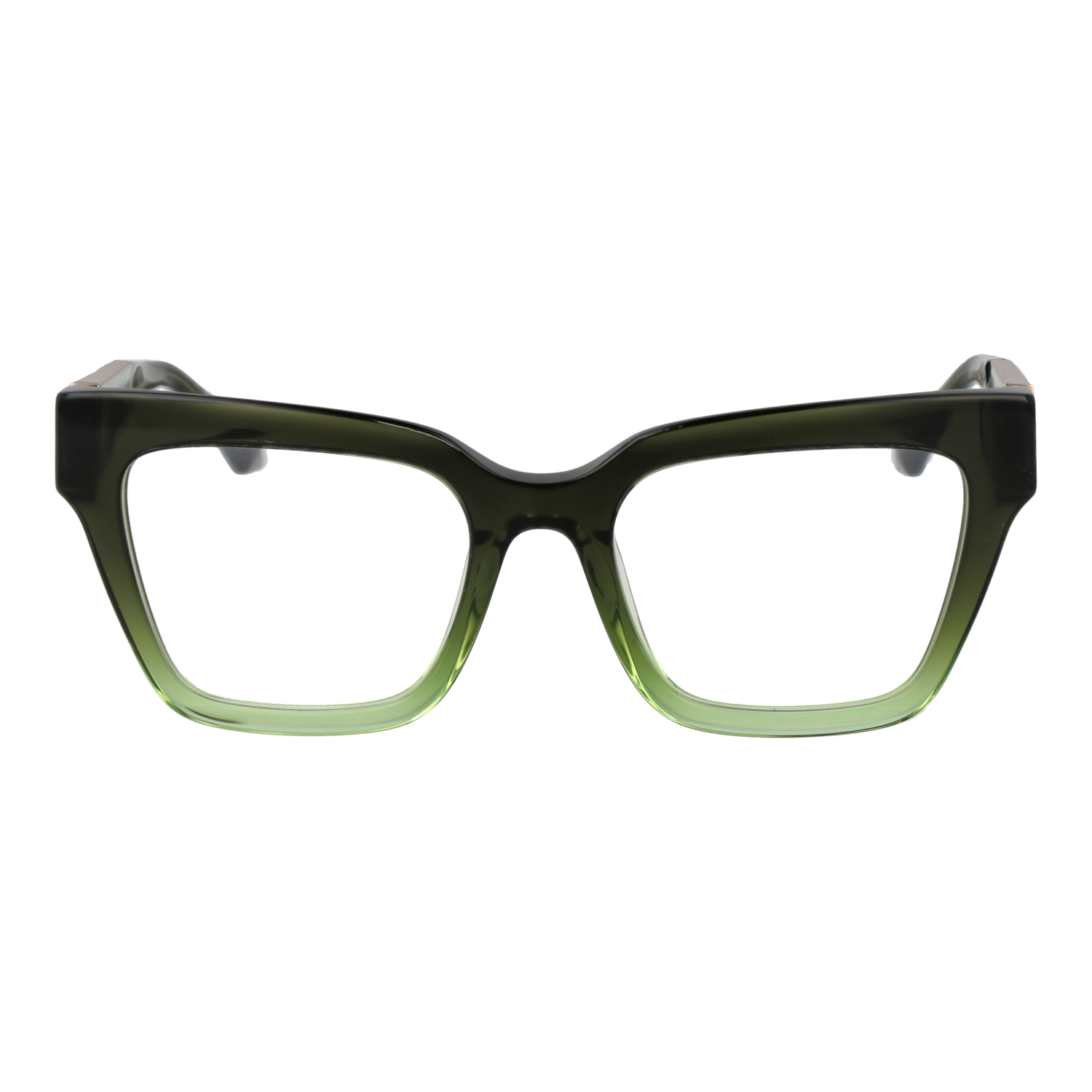 Ana Hickmann Optical Frame AH6533 C01 51