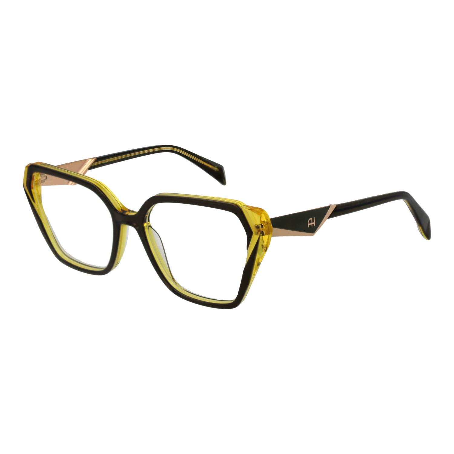 Ana Hickmann Optical Frame AH6538 H01 54