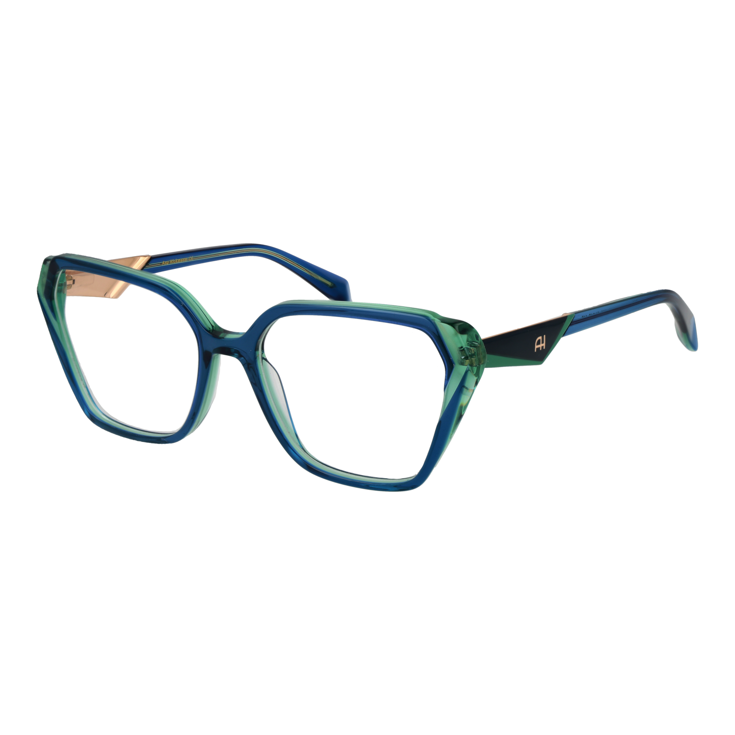 Ana Hickmann Optical Frame AH6538 H02 54
