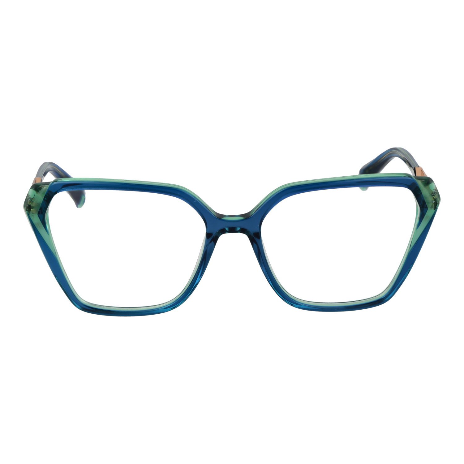 Ana Hickmann Optical Frame AH6538 H02 54