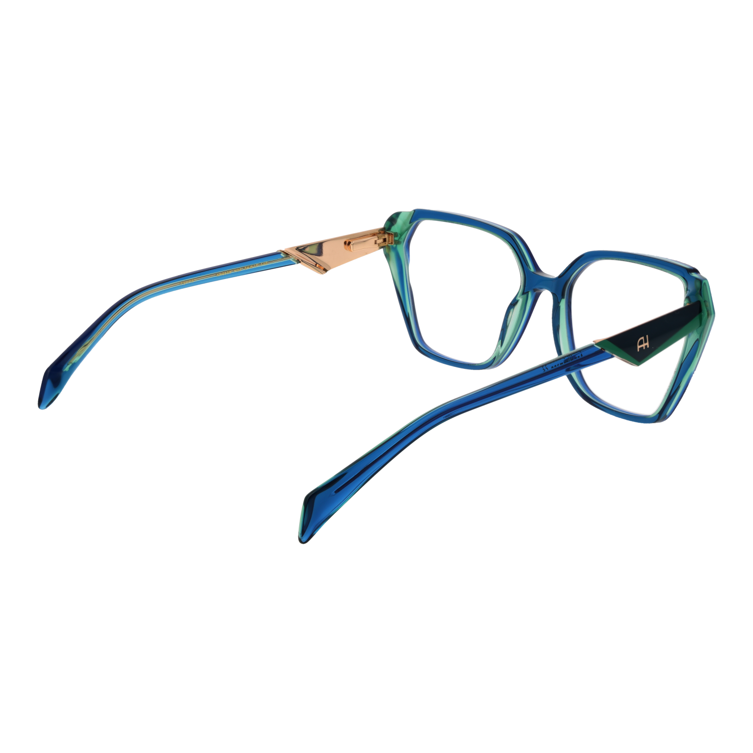 Ana Hickmann Optical Frame AH6538 H02 54