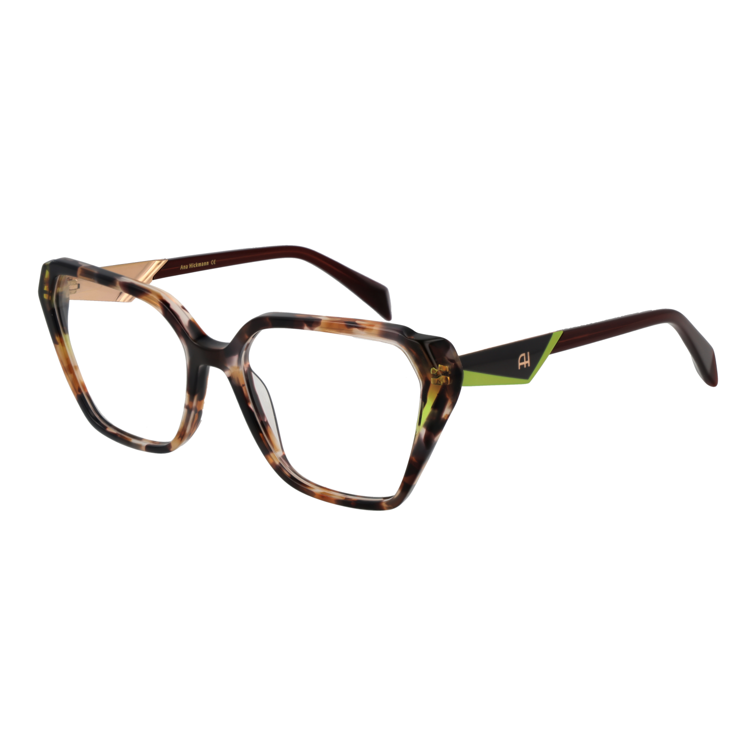 Ana Hickmann Optical Frame AH6538 P01 55