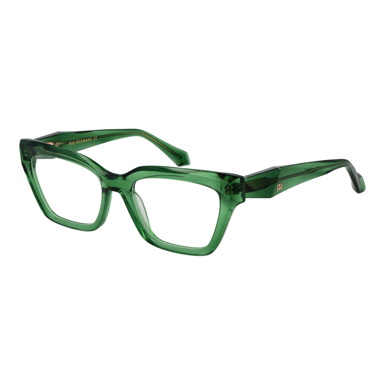 Ana Hickmann Optical Frame AH6545 T02 50