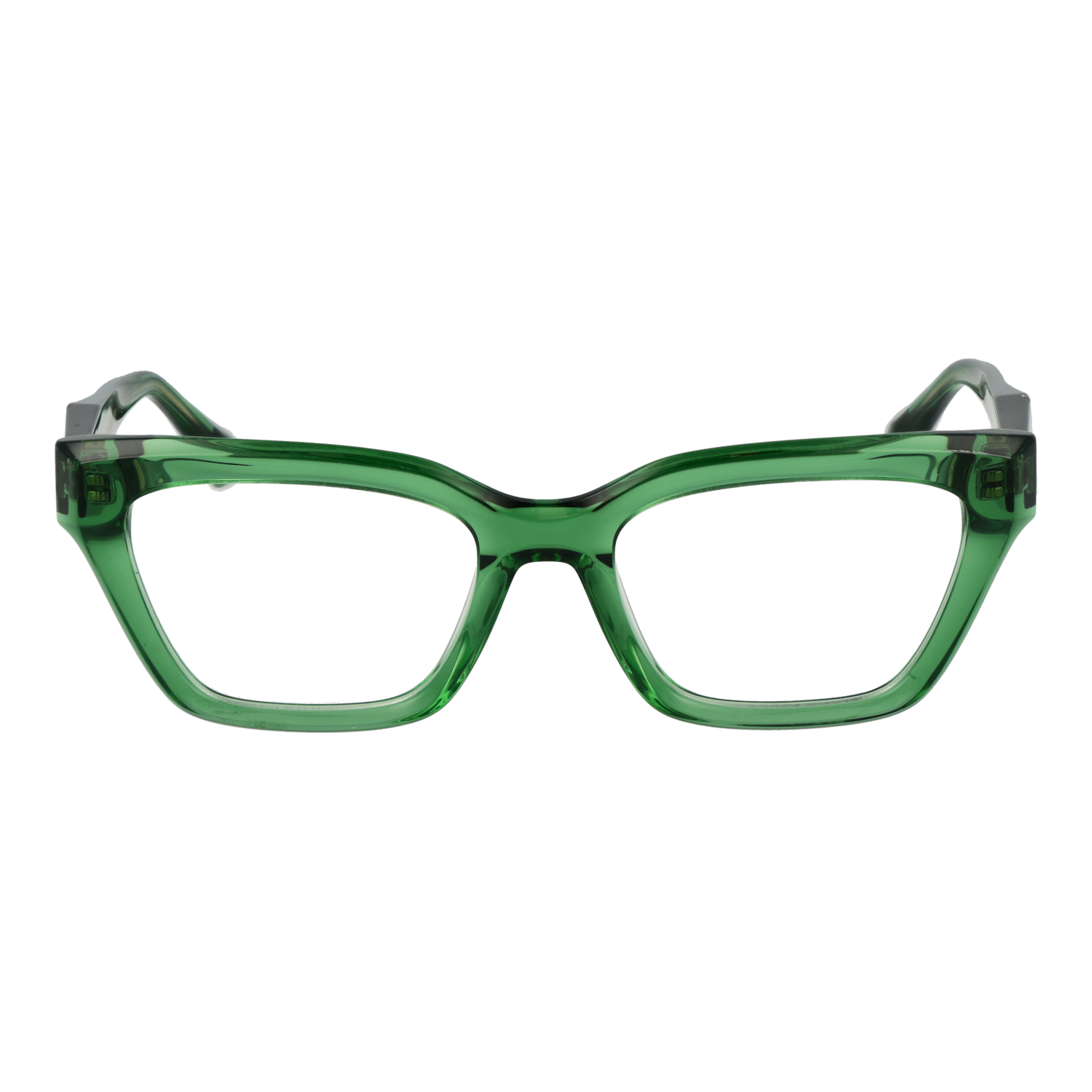 Ana Hickmann Optical Frame AH6545 T02 50