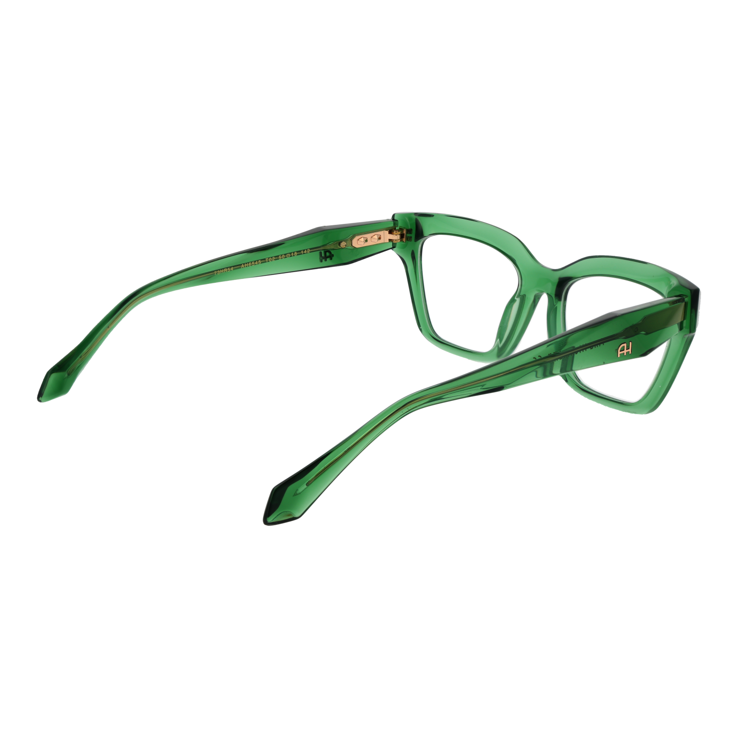 Ana Hickmann monture optique AH6545 T02 50