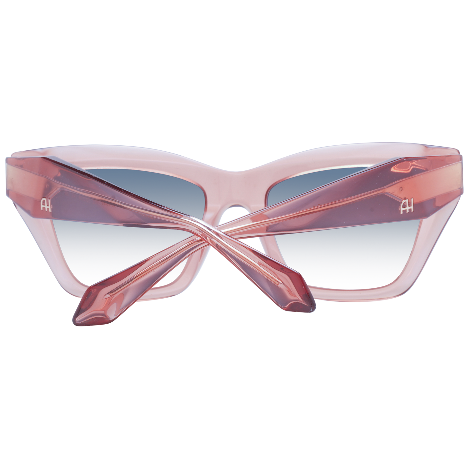 Ana Hickmann Sunglasses AH9399 T02 53