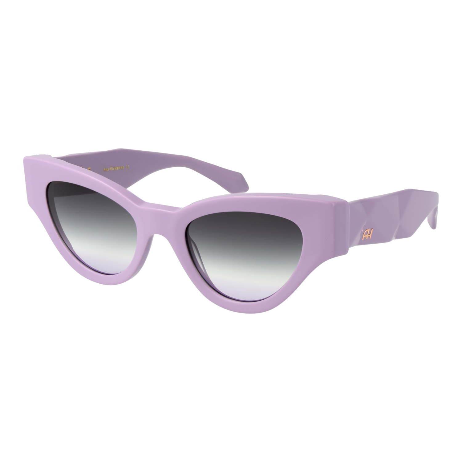 Ana Hickmann Sunglasses AH9409 D01 52