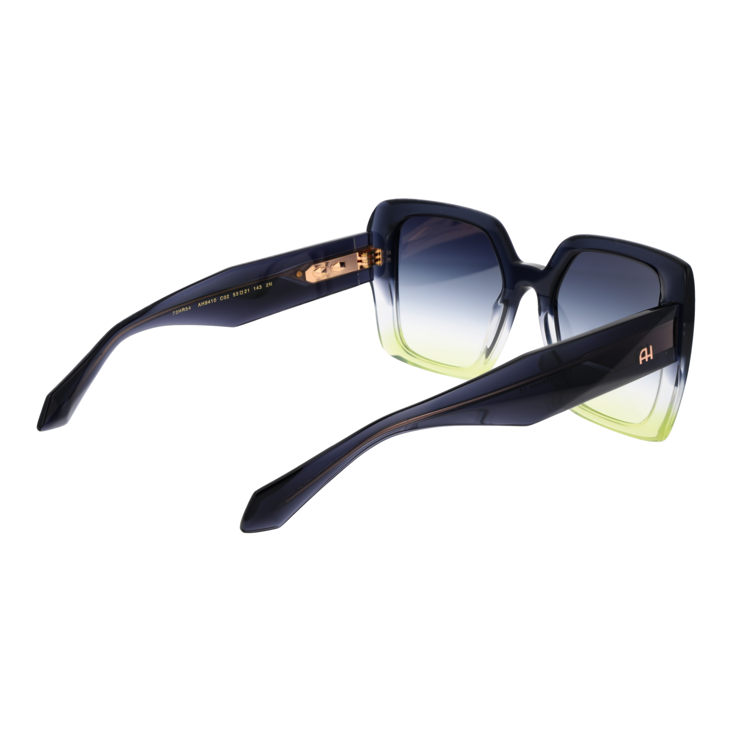 Ana Hickmann Sunglasses AH9410 C02 54