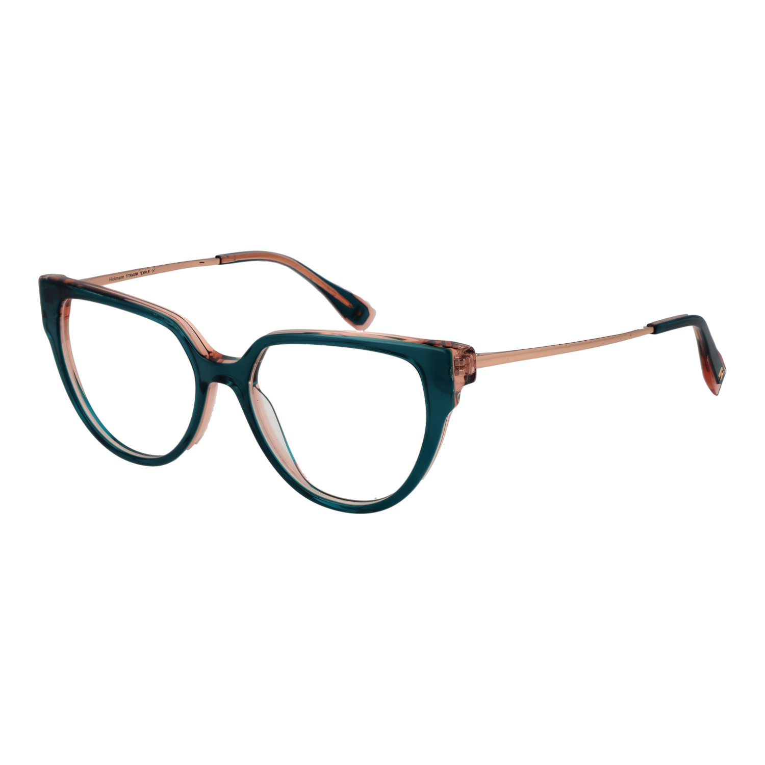 Ana Hickmann Optical Frame HI6290T H01 51 Titanium