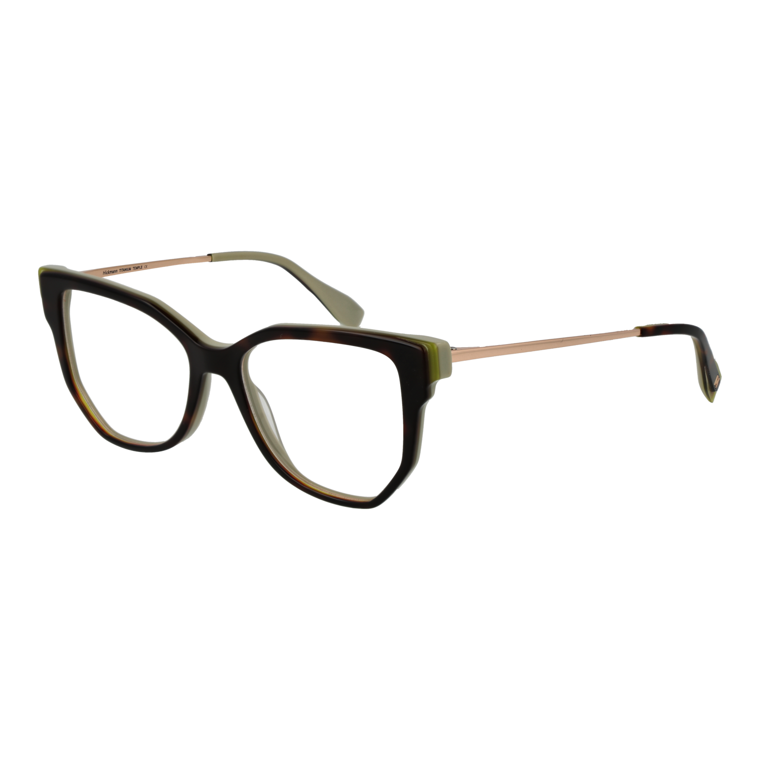 Ana Hickmann Optical Frame HI6292T G21 51 Titanium
