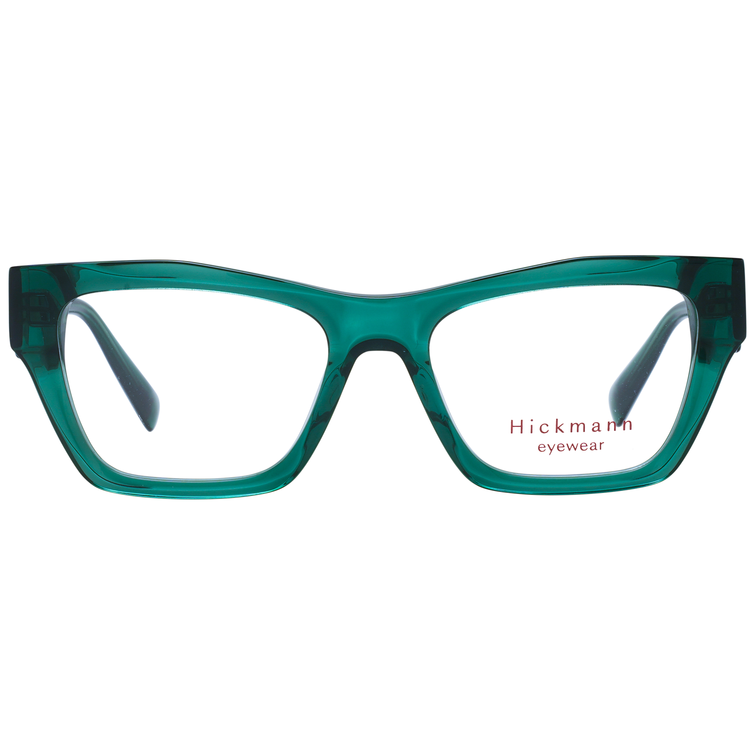 Ana Hickmann Optical Frame HI6295 T01 52