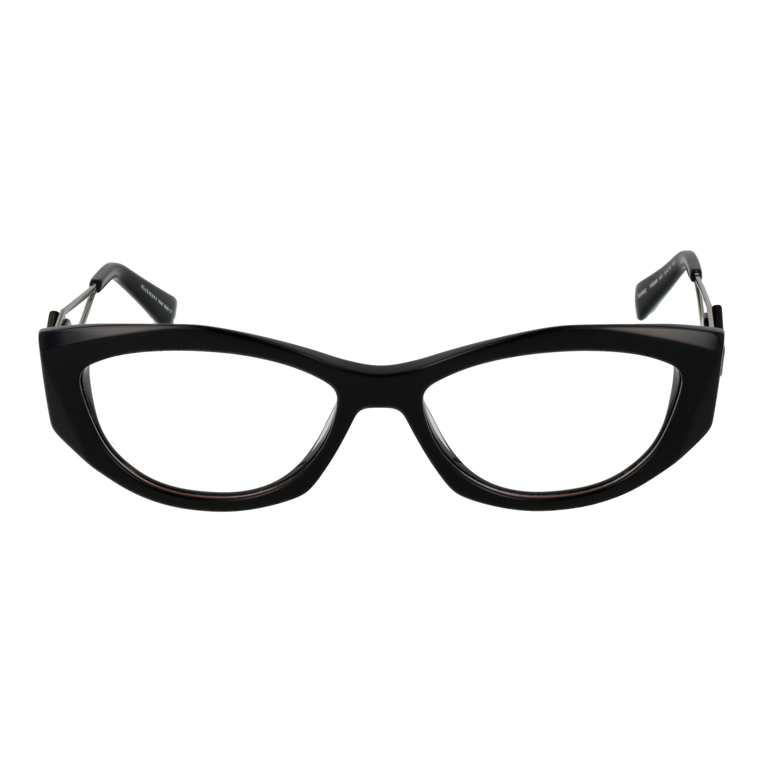 Ana Hickmann Optical Frame HI6299 A01 53